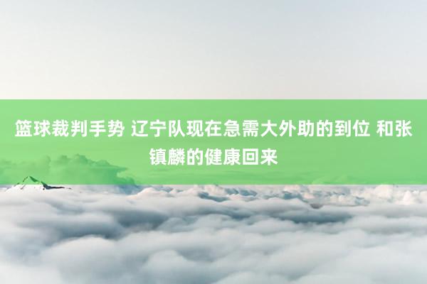 篮球裁判手势 辽宁队现在急需大外助的到位 和张镇麟的健康回来