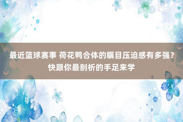 最近篮球赛事 荷花鸭合体的瞩目压迫感有多强？快跟你最剖析的手足来学