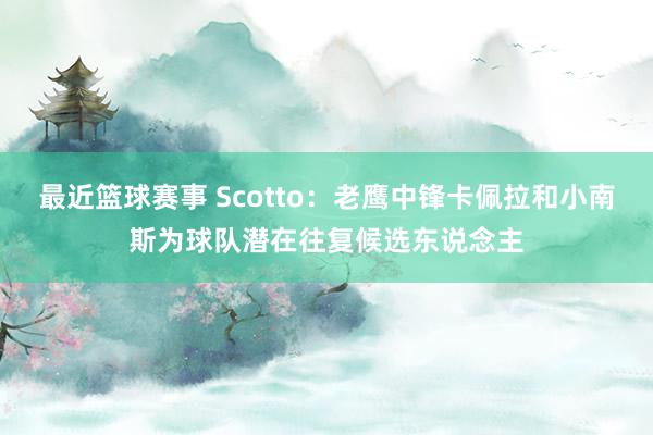 最近篮球赛事 Scotto：老鹰中锋卡佩拉和小南斯为球队潜在往复候选东说念主